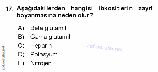 Soru 17