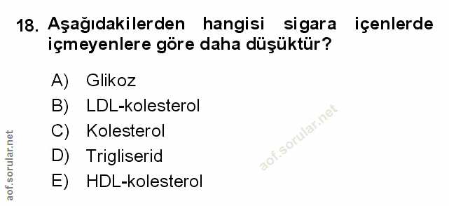 Soru 18
