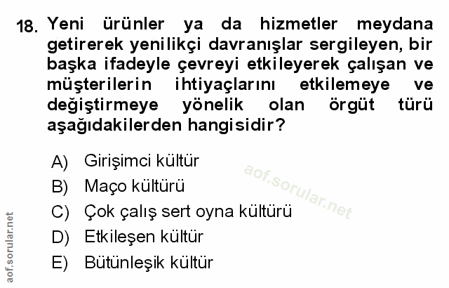 Soru 18