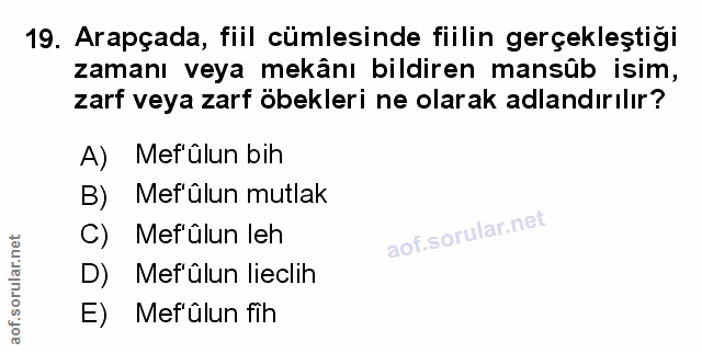 Soru 19