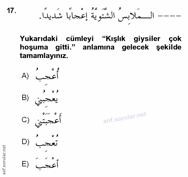 Soru 17
