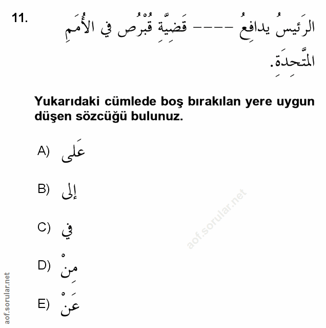 Soru 11