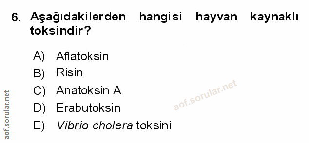 Soru 6