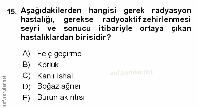 Soru 15