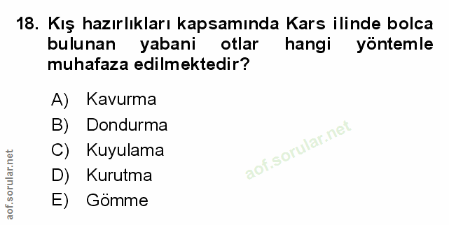 Soru 18