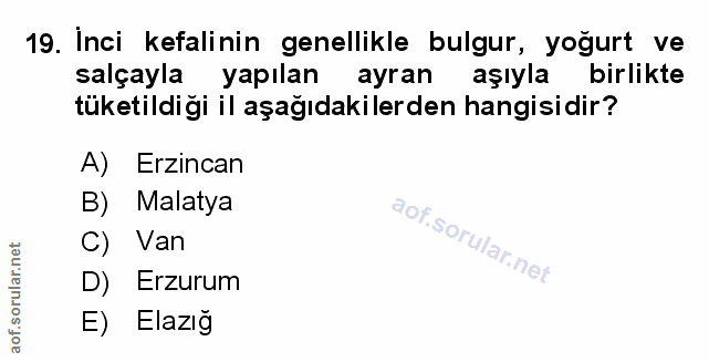 Soru 19