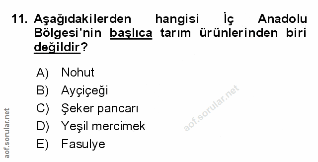 Soru 11
