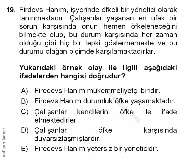 Soru 19
