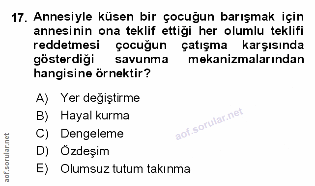 Soru 17