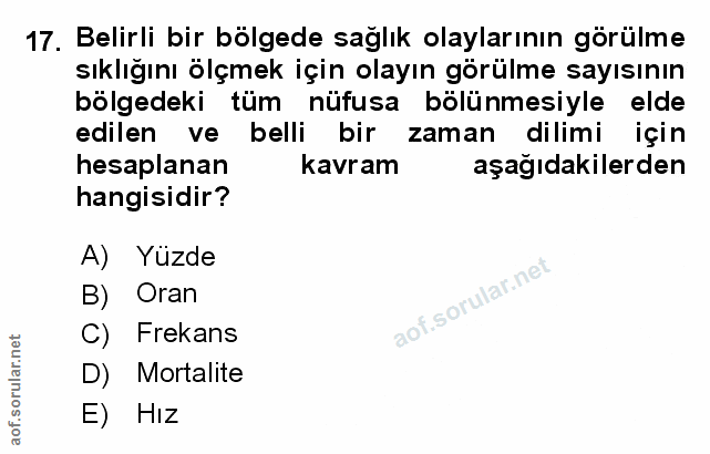 Soru 17