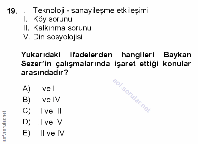 Soru 19