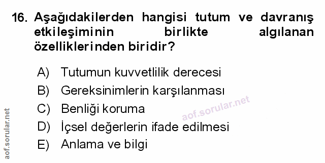 Soru 16