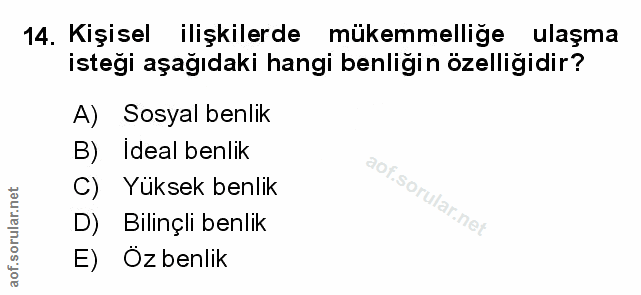 Soru 14