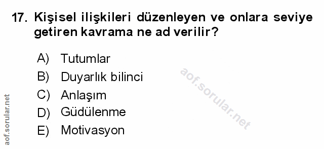 Soru 17