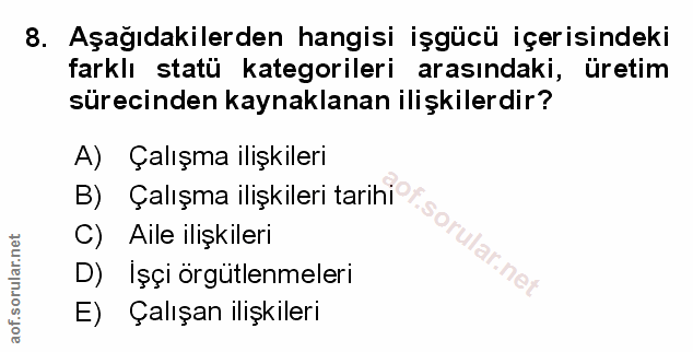 Soru 8