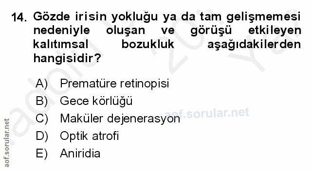 Soru 14