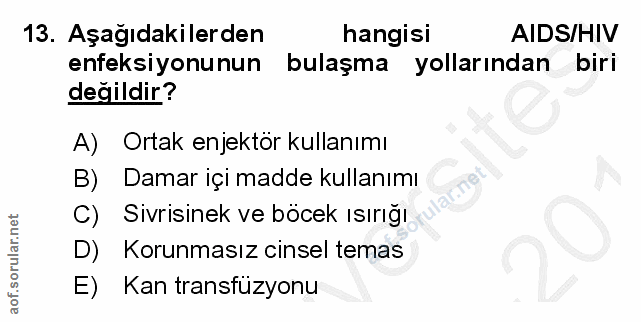 Soru 13