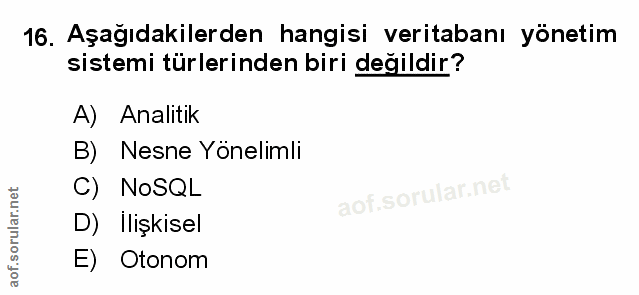 Soru 16