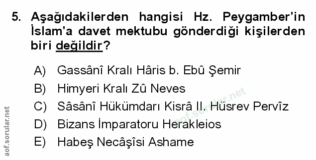 Soru 5