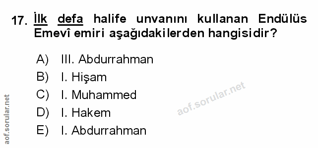 Soru 17