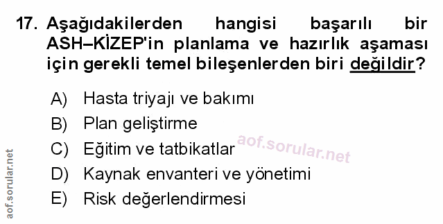 Soru 17