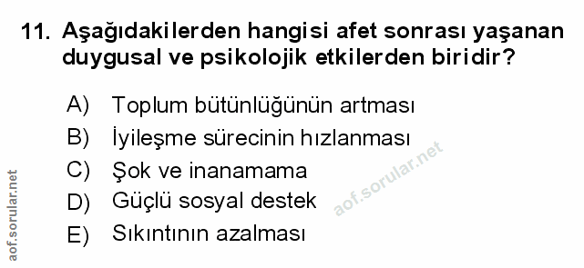 Soru 11