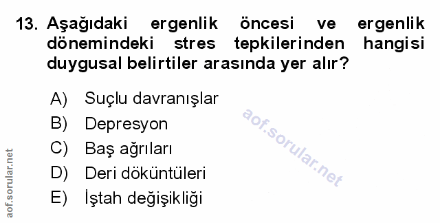 Soru 13
