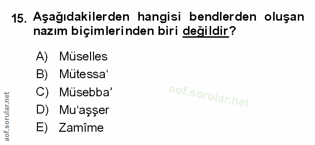 Soru 15
