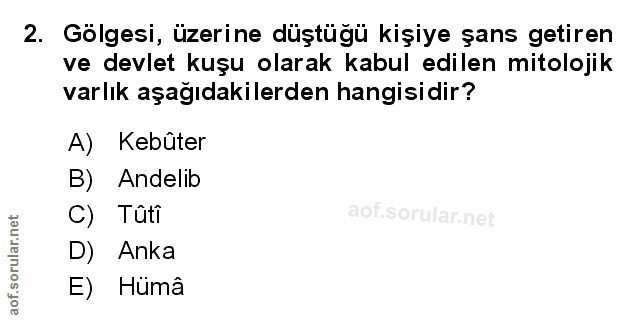 Soru 2
