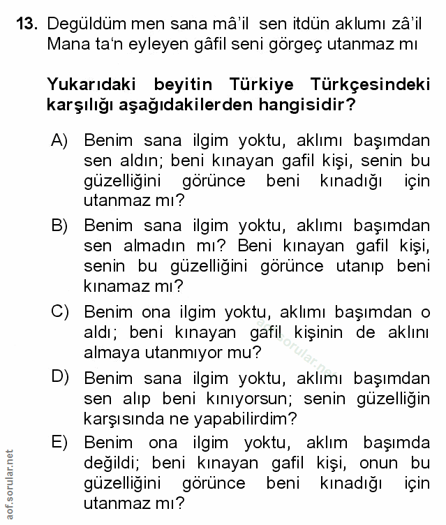 Soru 13