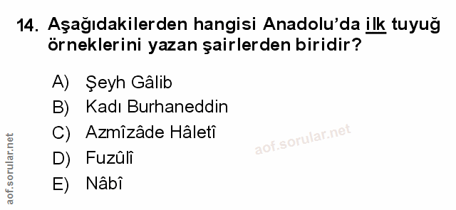 Soru 14