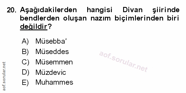 Soru 20