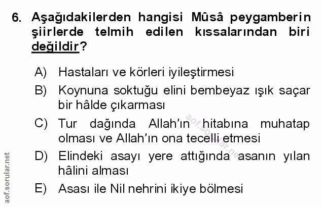 Soru 6