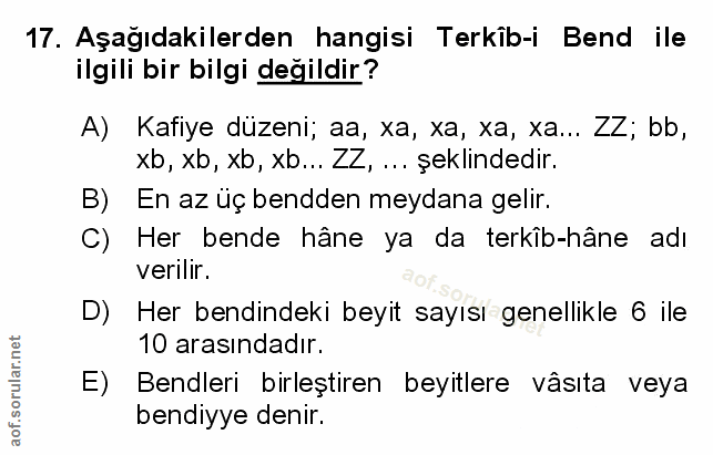 Soru 17