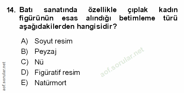 Soru 14