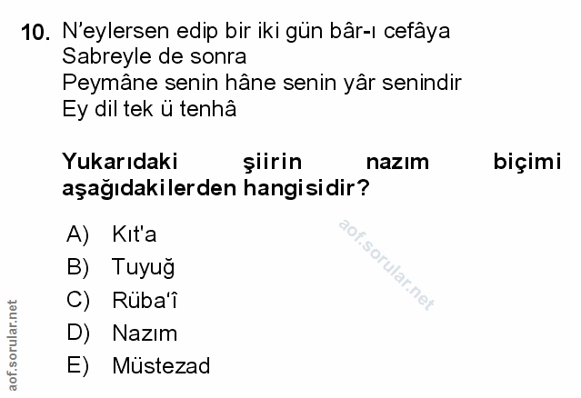 Soru 10