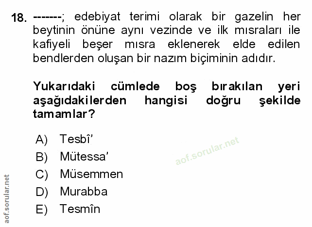 Soru 18