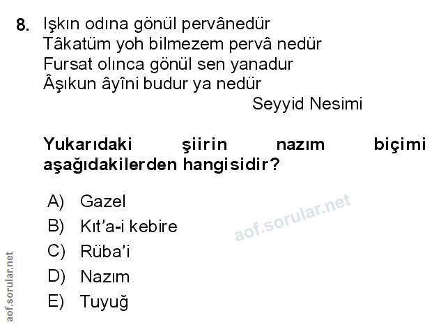 Soru 8