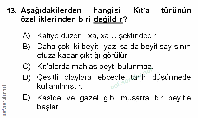 Soru 13
