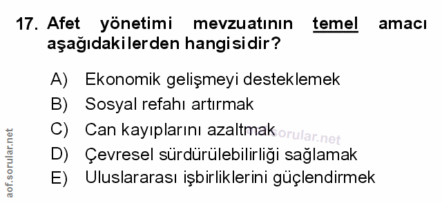 Soru 17