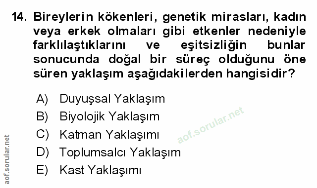 Soru 14