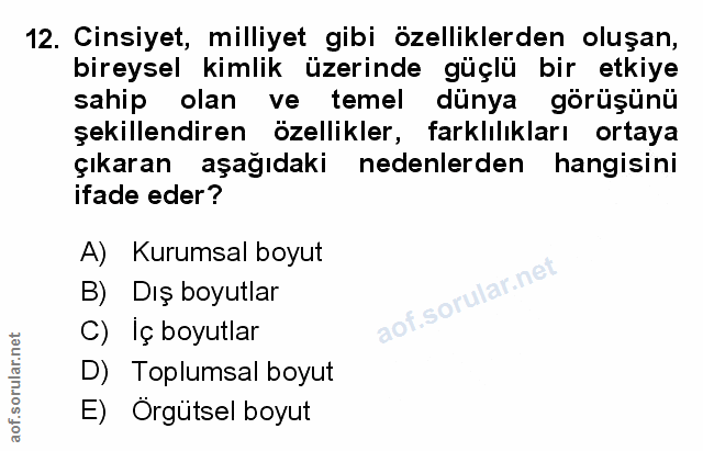 Soru 12