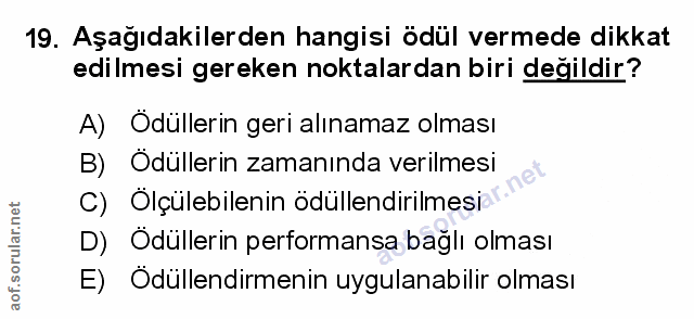 Soru 19