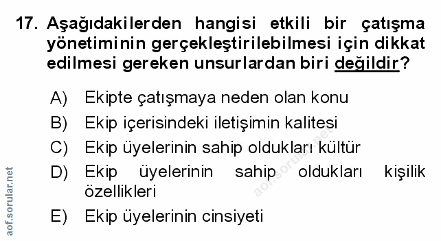 Soru 17