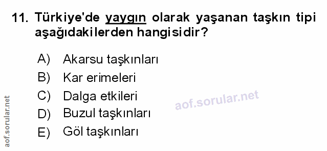 Soru 11