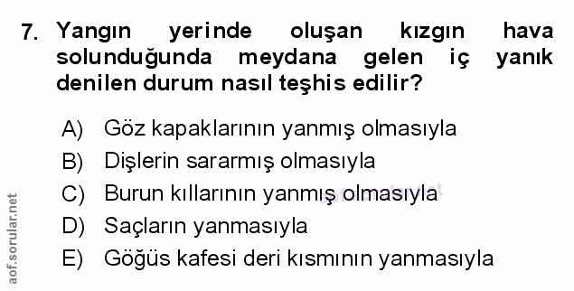 Soru 7
