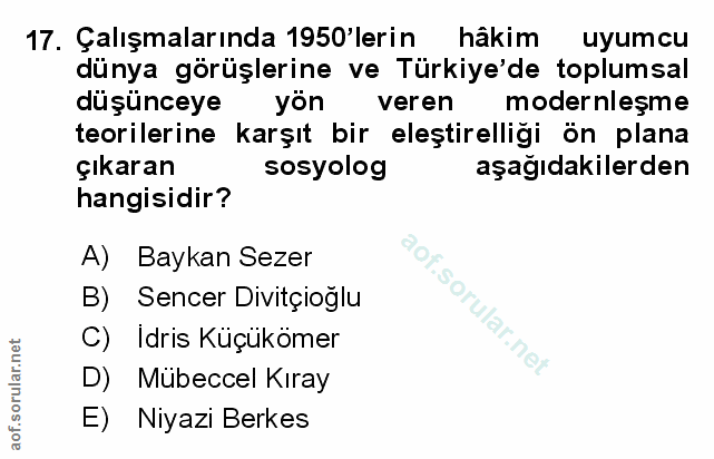 Soru 17
