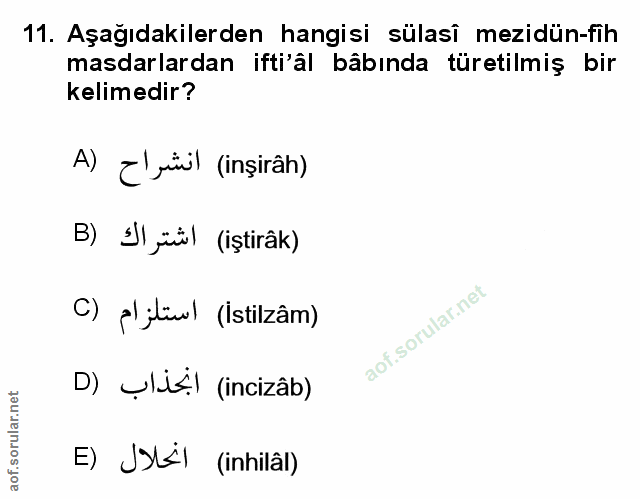 Soru 11