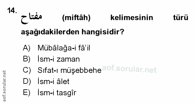 Soru 14