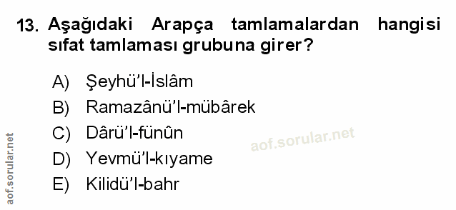 Soru 13
